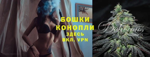2c-b Медвежьегорск