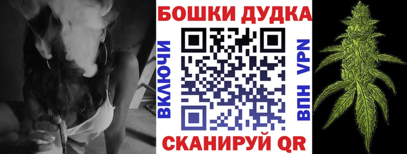 купить наркотики цена  Череповец  Каннабис сатива 